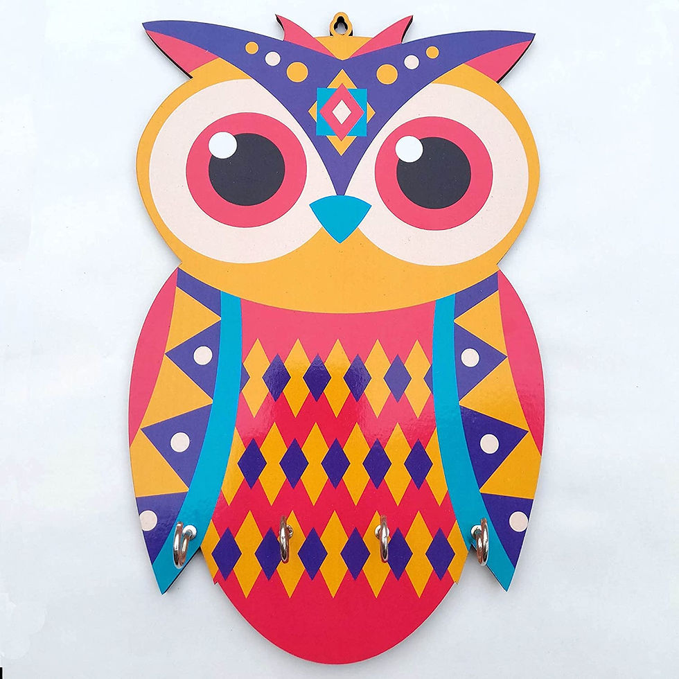 Colourful Owl Shape - Premium Key Holder