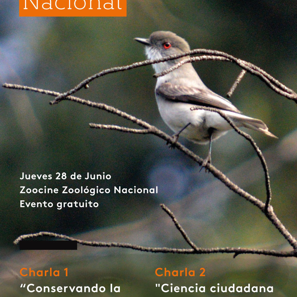 charla-aves-(hirstoria) 2