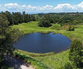 Sítio/Chácara em Taquara/RS na Localidade da Fazenda Fialho