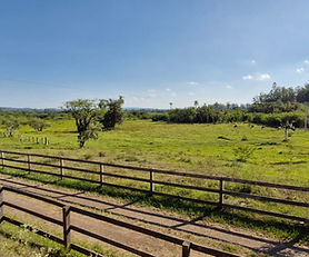 Sítio/Chácara/Fazenda em Campo Bom com 42 Hectares própria para Pecuária