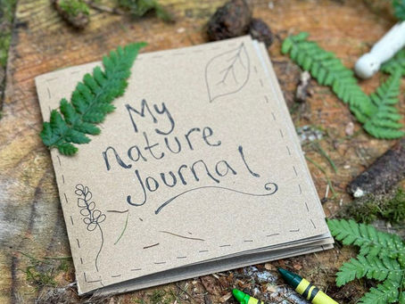 Caminata creativa: una experiencia para conectar con la naturaleza y el arte