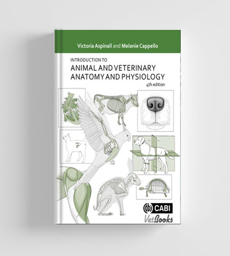 VETERINARY ANATOMY AND PHYSIOLOGY NOTES visual data 4