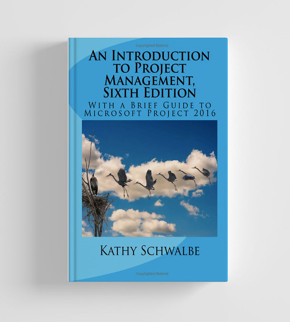 An Introduction to Project Management 6th 9781544701899