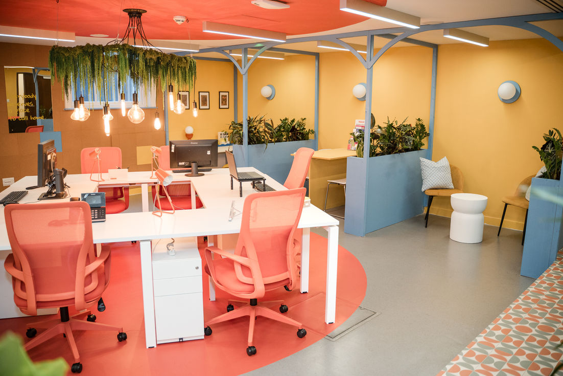 Modern charity office interior in London with coral flooring, collaborative desks, pastel blue framework and biophilic design