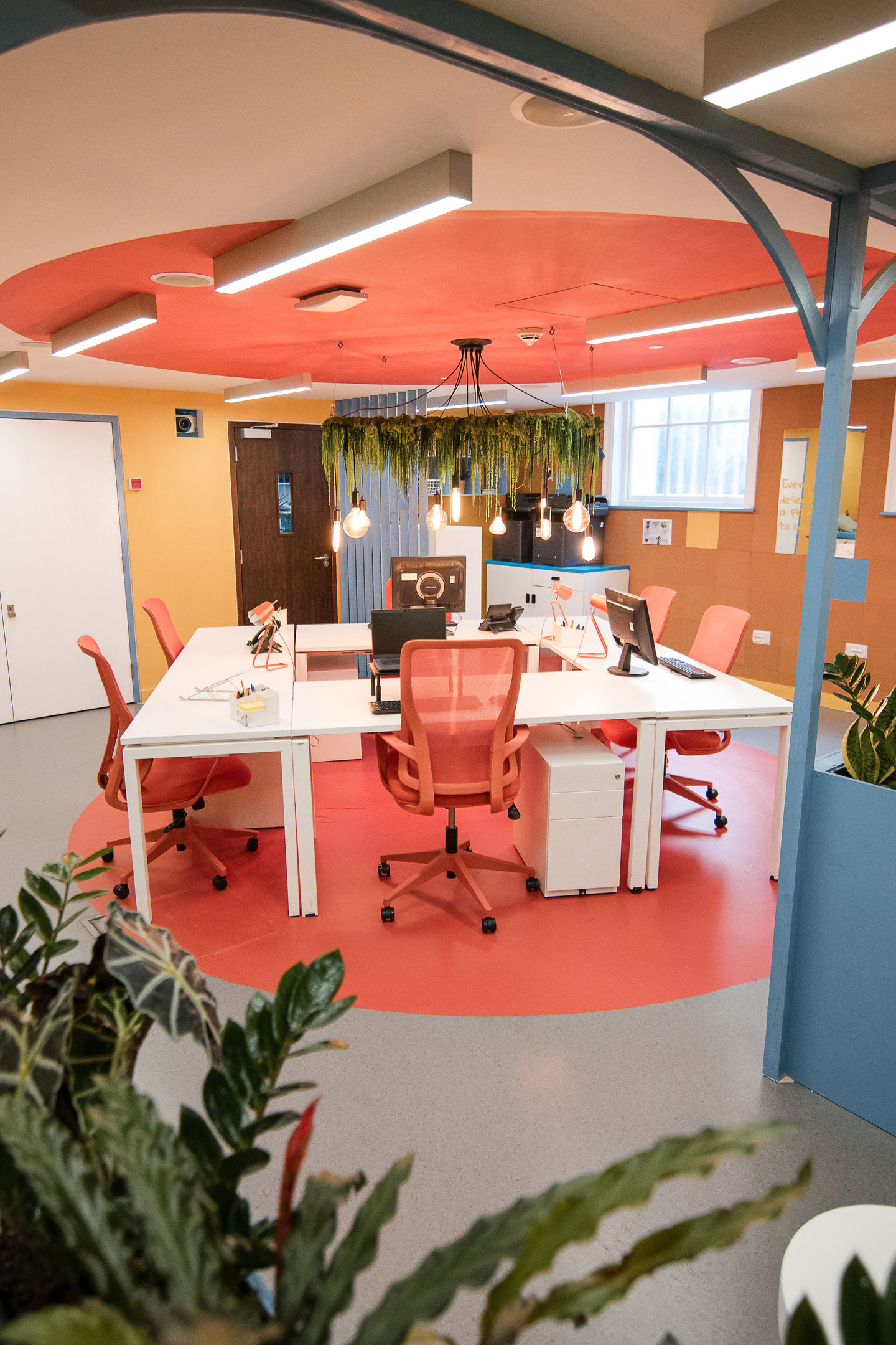 Collaborative workspace with coral desks, statement ceiling feature and hanging greenery designed for a London homeless chari