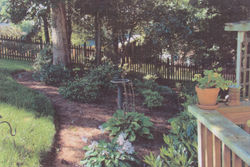 Scan_20160403_185025_019