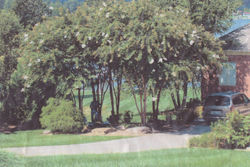 Scan_20160403_185025_023