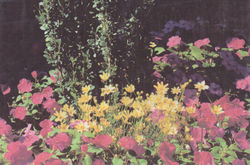 Scan_20160403_185025_020