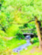 Petoskey Stream