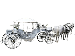 carrozza_con_cavalli-removebg-preview.png