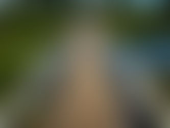 Antonio Menéndez entrega obras de puente peatonal y alumbrado público en El Guayabo.