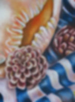 Thanakrit Charoenjindamatr's Acorns
