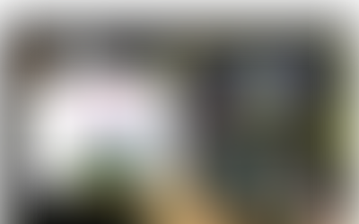 FLOW OUT online exhibition