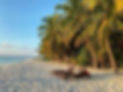 There are two beach loungers on the beach, underneath palmtrees