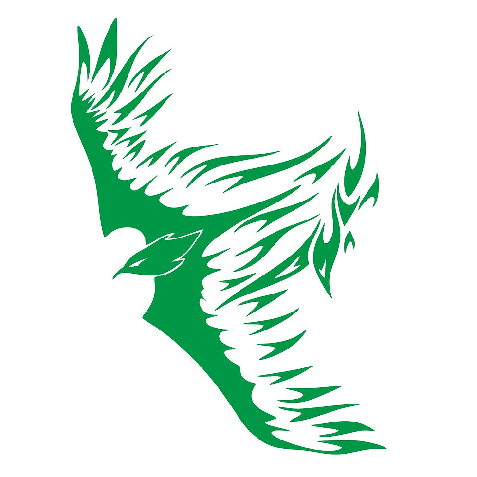 Miniature : Aigle 14