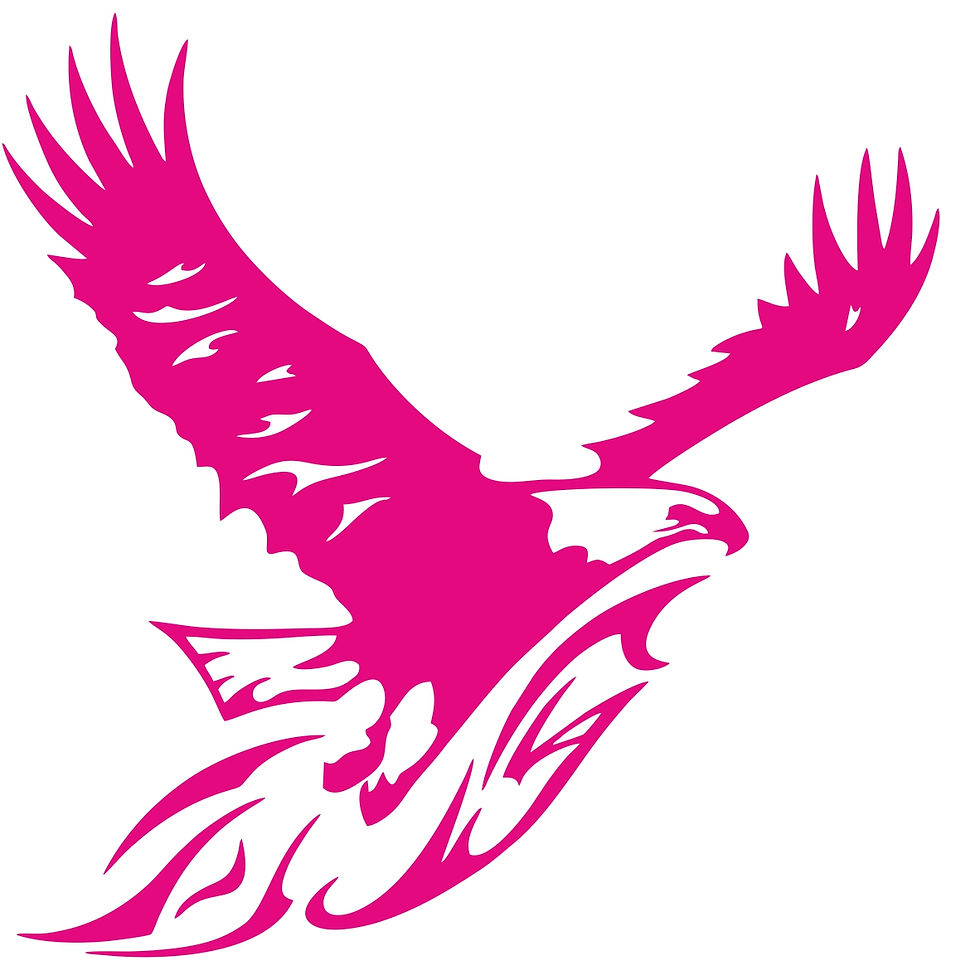 Miniature : Aigle 3