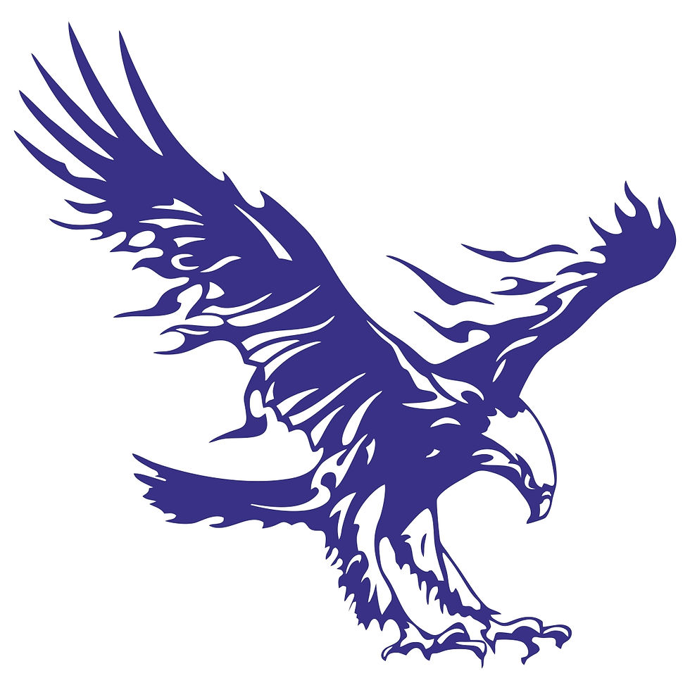 Miniature : Aigle 2