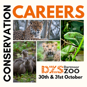 Conservation Careers with Dartmoor Zoo