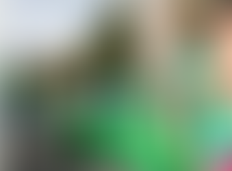 Looking for family fun this weekend? The West End Carnival is here!