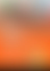 City College Plymouth's Skills Builder Programme