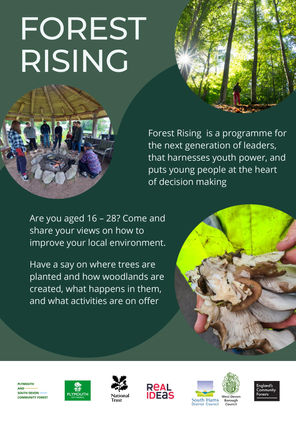 Aged 16+? Join the Forest Rising with programme with Real Ideas
