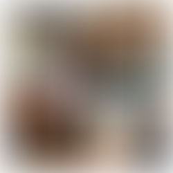 Next week at Skills Launchpad Plymouth - w/c 27 November