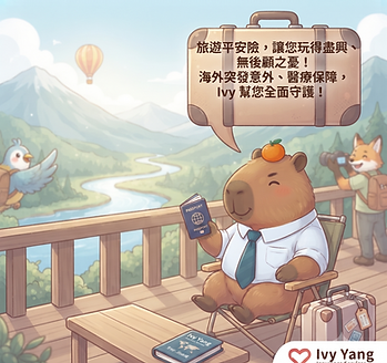 旅遊平安險.png