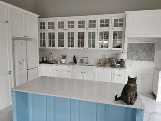 Noble Carrara & kot Klara - Lublin