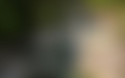 The Orrids of Uriezzo