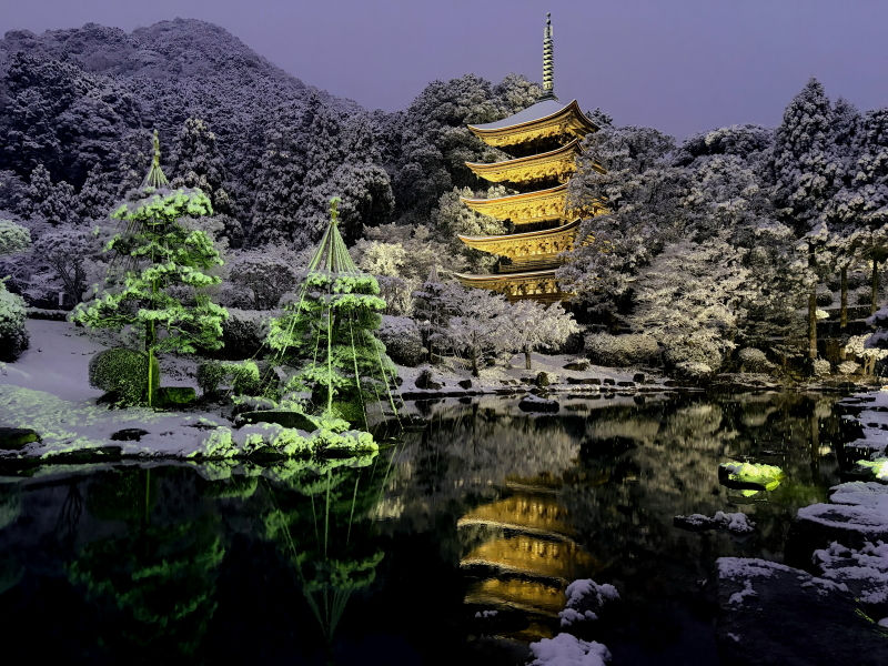 黄金色に輝く五重塔　2026.1.2