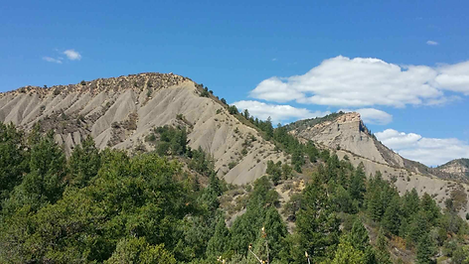 E01A9D32-C3EB-4129-B24A-7995325CD1AE 2.PNG