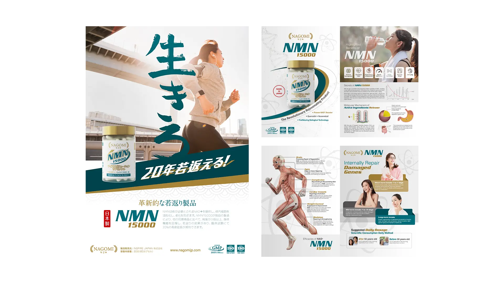 Nagomi - NMN15000 Catalogue
