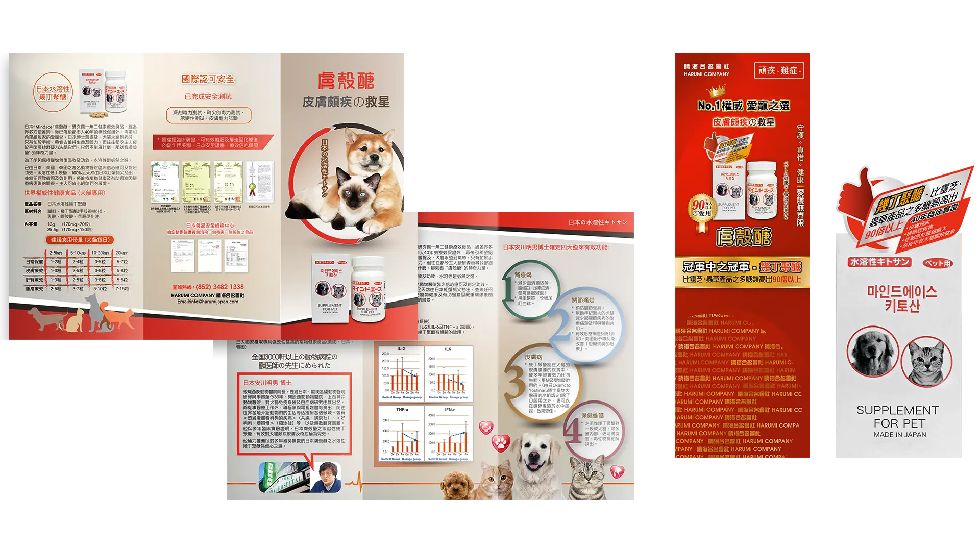 Mindace Japan - Leaflet