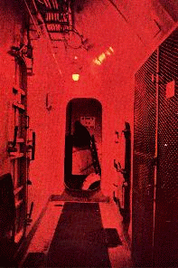 Circle Zebra | American novel