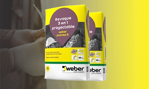 webwe 2.png