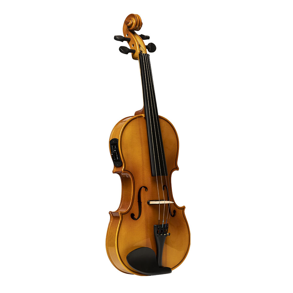 Miniature : Stagg VN-4/4 ELEC Full-Size Electric Violin – Solid Maple with Standard Soft Cas