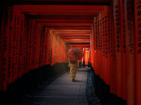 IJIN Trilogy: Echoes of History, War, and Humanity