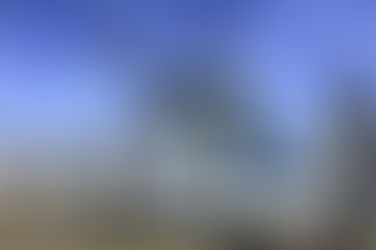 A Tapestry of Love, Loss, and Unforgettable Journeys: IJIN