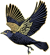 Crow_edited.png