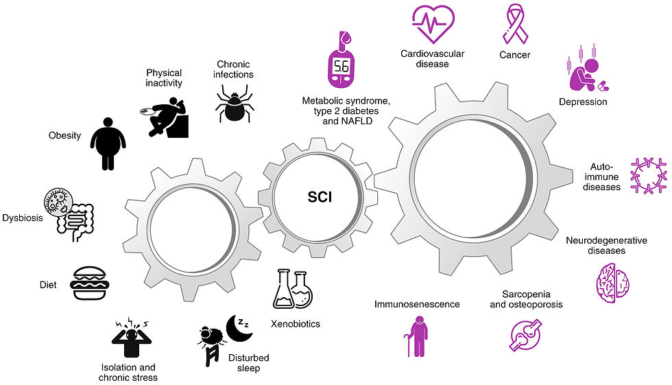 低度全身性慢性發炎的原因和後果
