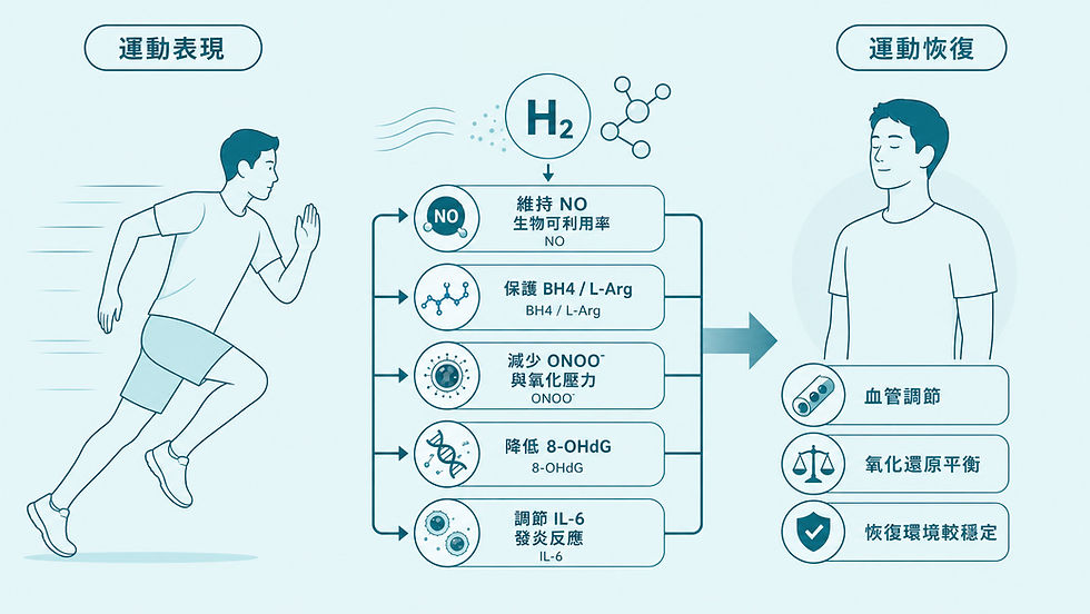 氫氣吸入促進運動恢復的醫學機轉圖，呈現 H₂ 對 NO 生物可利用率、BH4、L-Arg、ONOO⁻、8-OHdG 與 IL-6 的可能調節作用。