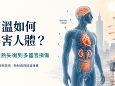 高溫如何傷害人體？從散熱失衡到多器官損傷