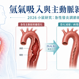 氫氣吸入能降低主動脈剝離惡化？2026 小鼠研究揭示：關鍵可能不是降血壓，而是抑制急性血管發炎