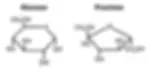 果糖(Fructose)VS 葡萄糖(Glucose)