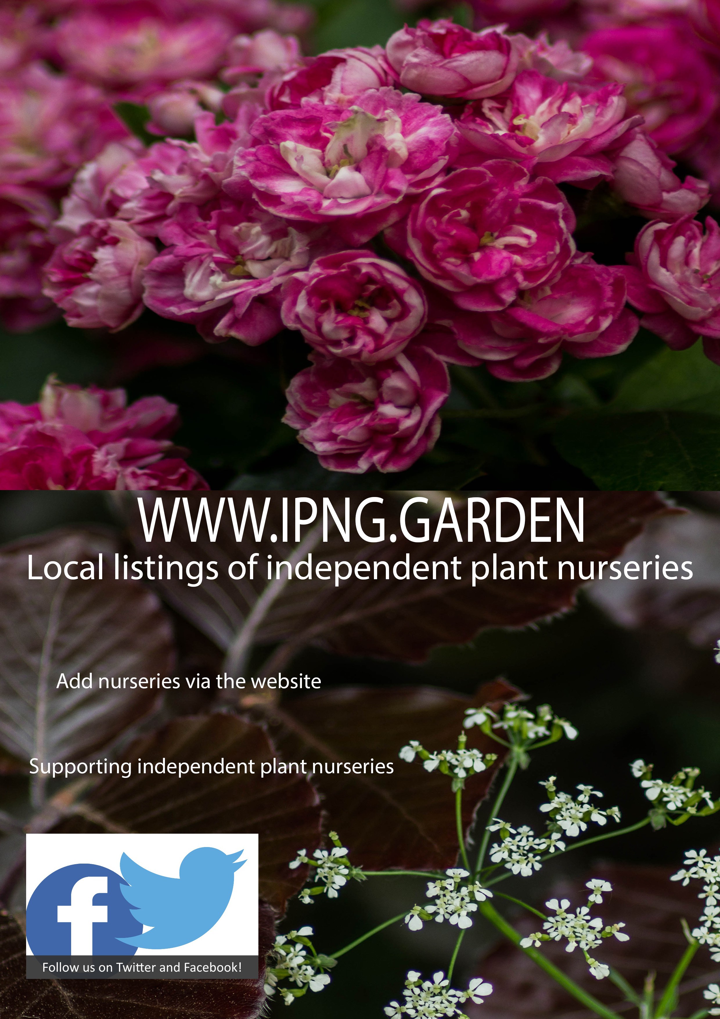 INDEPENDENT PLANT NURSERY GUIDE