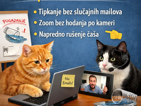 Novo u našoj ponudi - poduke za mace