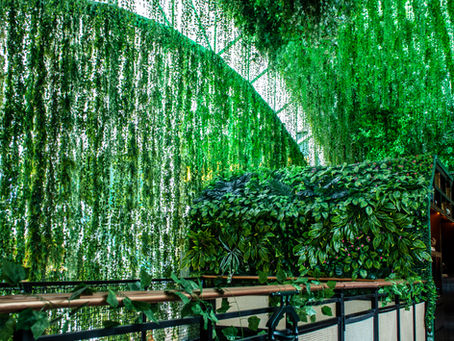 La Magia del verde Cómo la Selva Inspira la Experiencia Sensorial de Cuerdo