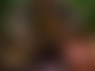 🥩 De la Abuela a la Tortilla: Los Tacos de Osobuco de Cuerdo que Rompen Esquemas