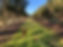 IMG_9883.JPEG