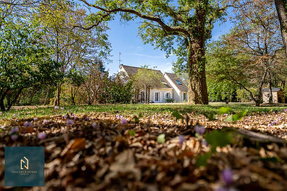 GRANDE MAISON EN BORDURE DE FORET